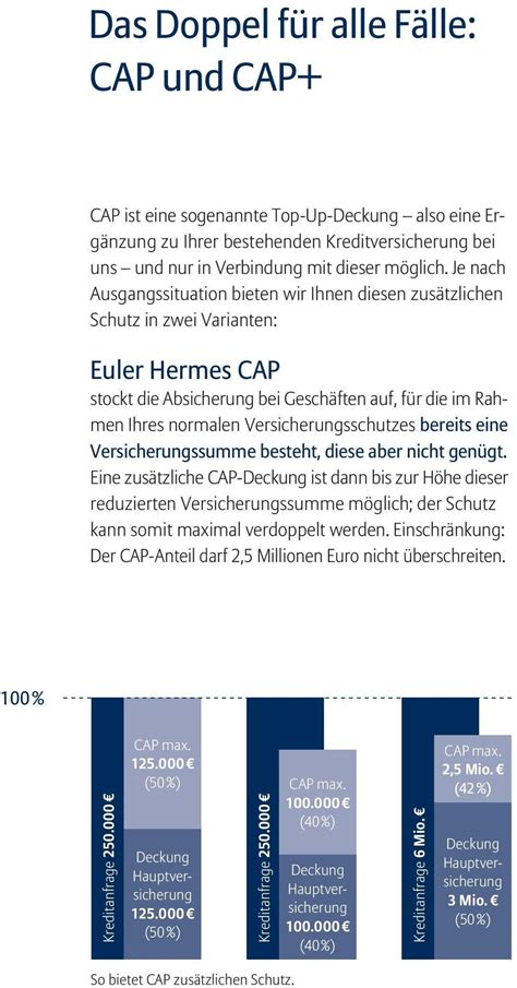 cap euler hermes|CAP solutions .